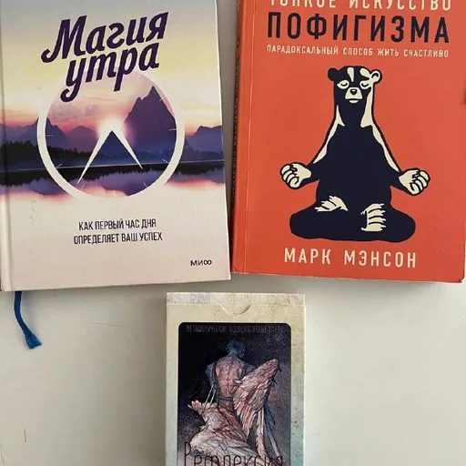 Магия утра, Тонкое искусство пофигизма, Рефлексия