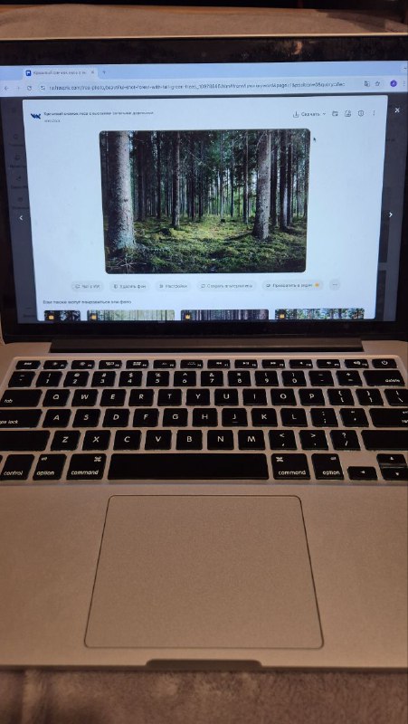 MacBook Pro, Early 2015, 13 дюймов, дисплей Retina 5