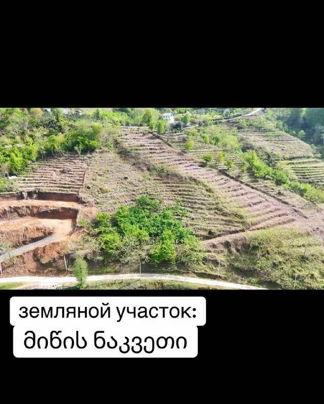 земляной участок в Батуми 5000 кв.м с видом на море и горы 3