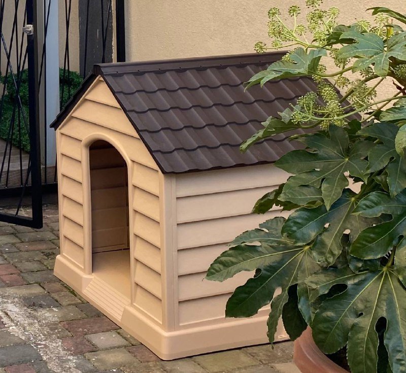 новая будка для животных