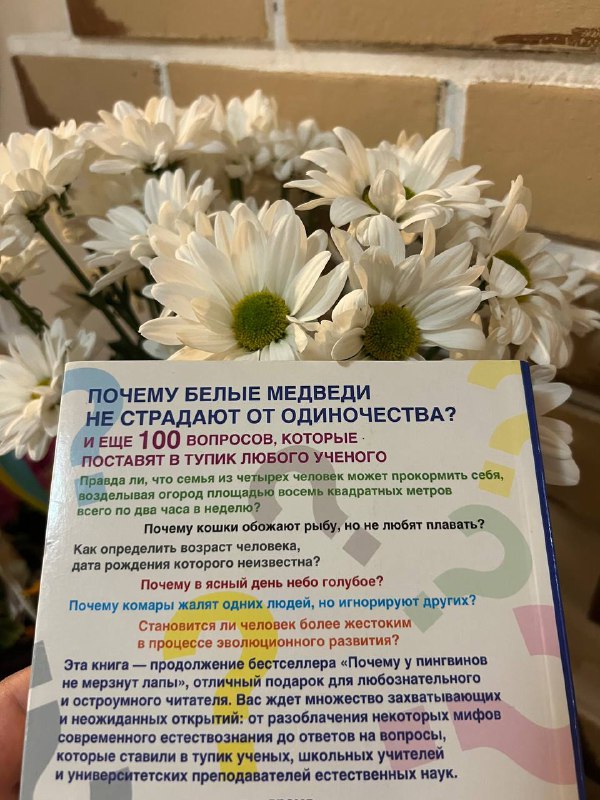 Почему белые медведи не страдают от одиночества, Философия мага, Поступай как женщина Думай как мужчина 2