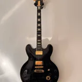 Epiphone B.B. King Lucille с харкдейсом 1