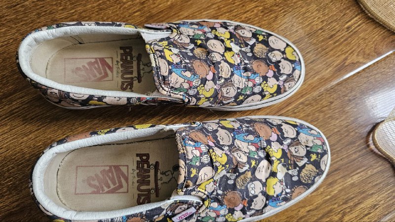 Vans shoes size 39, 25cm 2