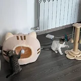 Когтеточка 2
