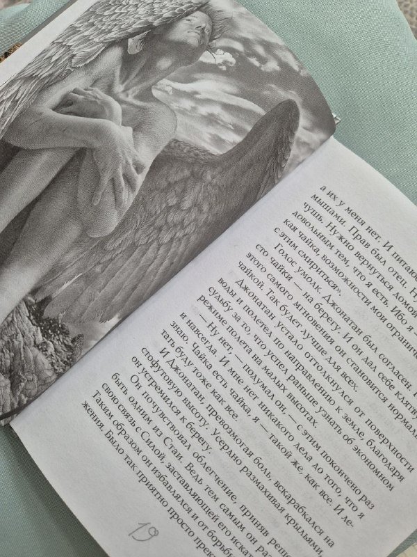 Книга Чайка по имени Джонатан Ливингстон Ричард Бах 3