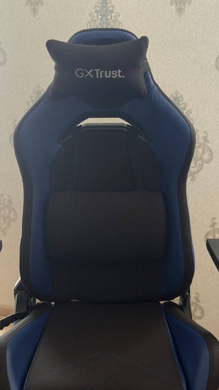 Игровое кресло GX Trust 3