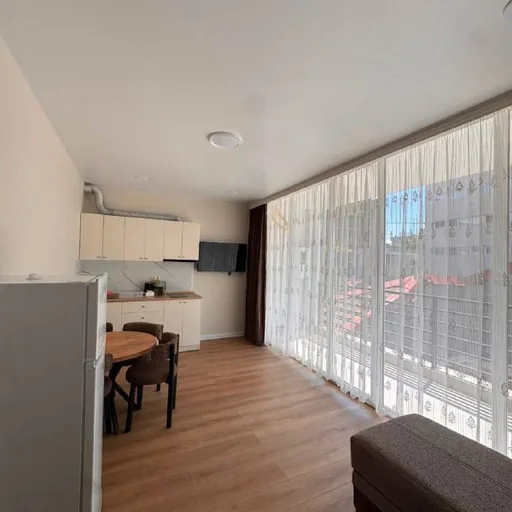 Квартира 1+1 в центре Батуми