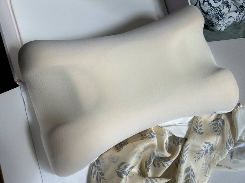 ПОДУШКА OMNIA В НАВОЛОЧКЕ ИЗ ШЕЛКА 5