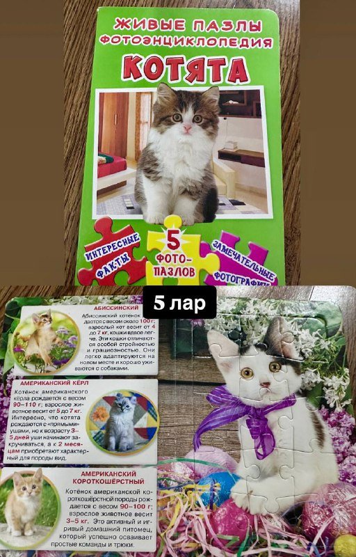 Книги детские, энциклопедии, книжки-пазлы и учебные пособия 9