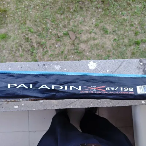 Spinning rod with two tips