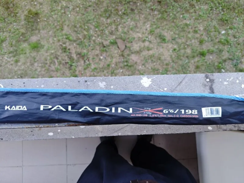 Spinning rod with two tips 1