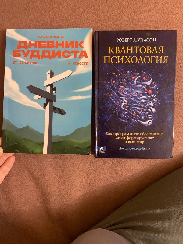 Квантовая психология, Дневник буддиста