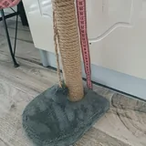 Когтеточка для котенка 2