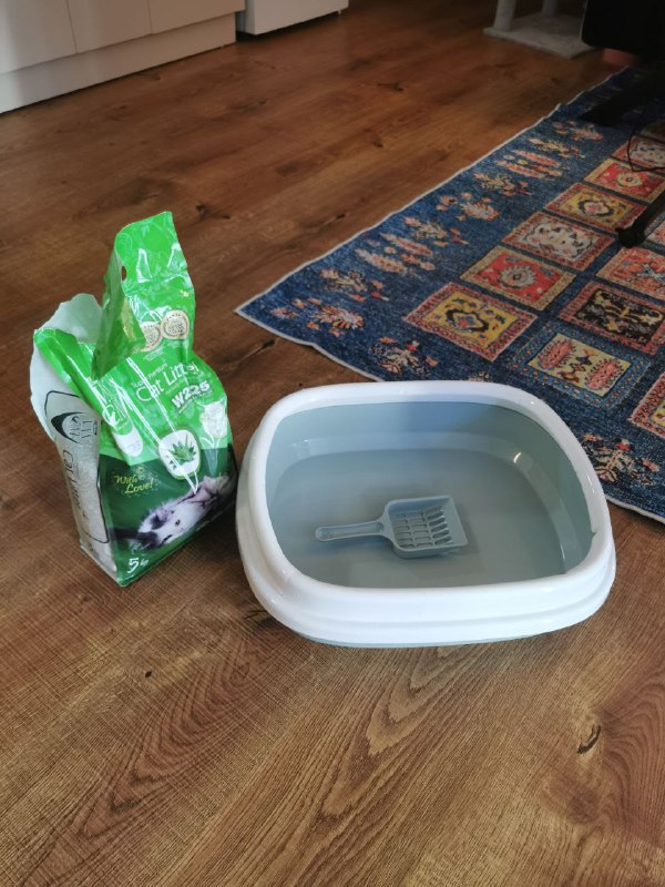 Когтеточка-башня, когтеточка с шаром, миска, лоток, переноска, миски 4