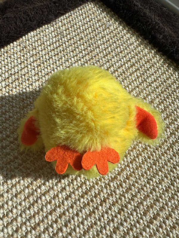 игрушка с шариками, тарелки для кормления, пистолет, утенок, спрей 5
