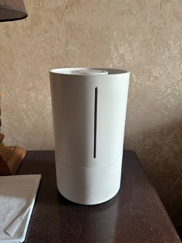 Apple Watch ремни, хьюмидор, мониторы Lenovo, лежанка для собаки, увлажнитель Xiaomi 8