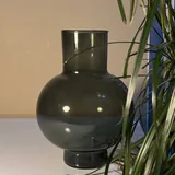 Хамедорея, диффенбахия, драцена маргината, ваза 5