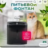 Автоматическая кормушка и фонтанчик для кошек и собак 3