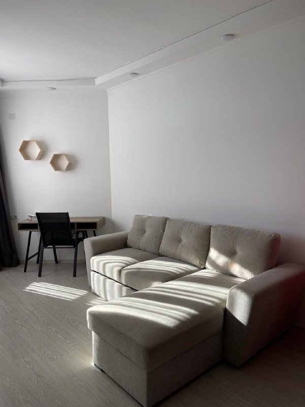 Уютная квартира с мебелью на Багратиони, 130 9