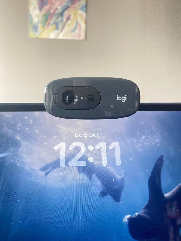 Веб-камера Logitech HD Webcam C270
