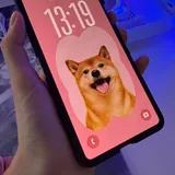 Samsung Galaxy Z Flip 8 1