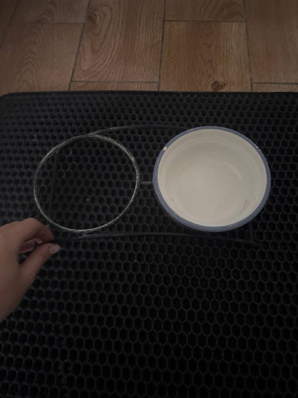 Картина, Сэндвичница, Клатч красный, Коврик для кошачьего туалета 6