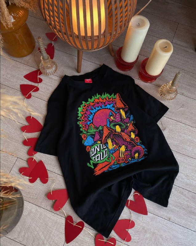 Женские футболки True Religion, Dickies, Ralph Lauren, Stella McCartney, Santa Cruze, Von Dutch, The North Face, Calvin Klein, Diesel 5