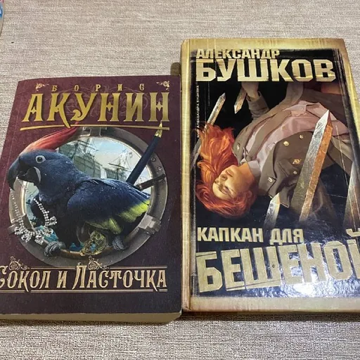 Книги Акунина, Бушкова, Хагга и Норы Робертс