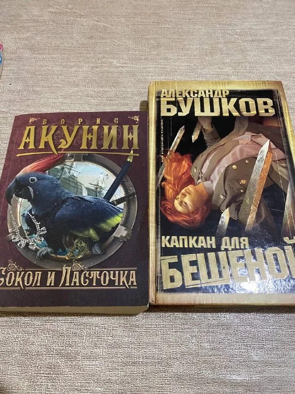 Книги Акунина, Бушкова, Хагга и Норы Робертс 1