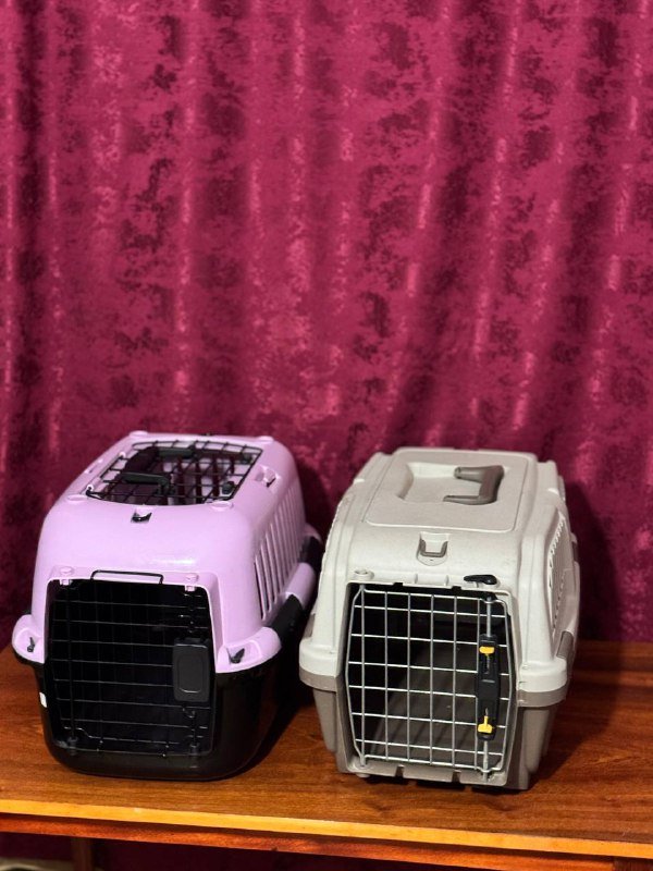 Переноски для животных