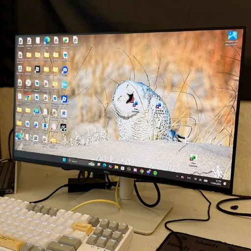 Монитор DELL Plus S2425HSM, клавиатура Bloody S87