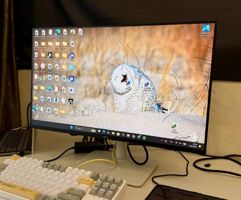 Монитор DELL Plus S2425HSM, клавиатура Bloody S87 1