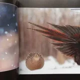Книги о фотографии 6