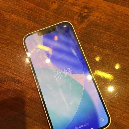 iPhone 13