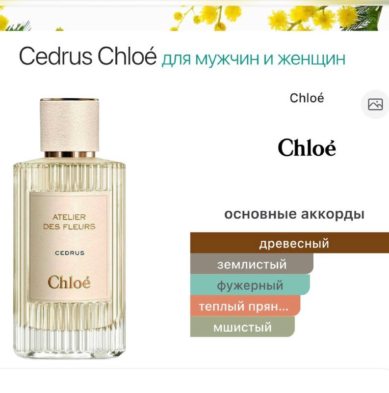 CHLOE Cedrus аромат для мужчин и женщин