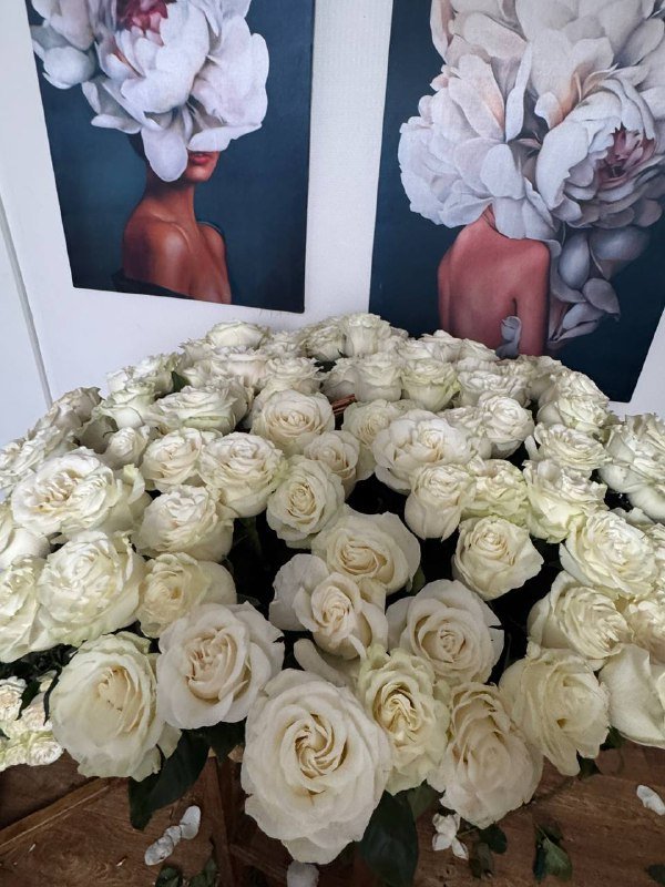 Букет белых роз из более 101 цветка