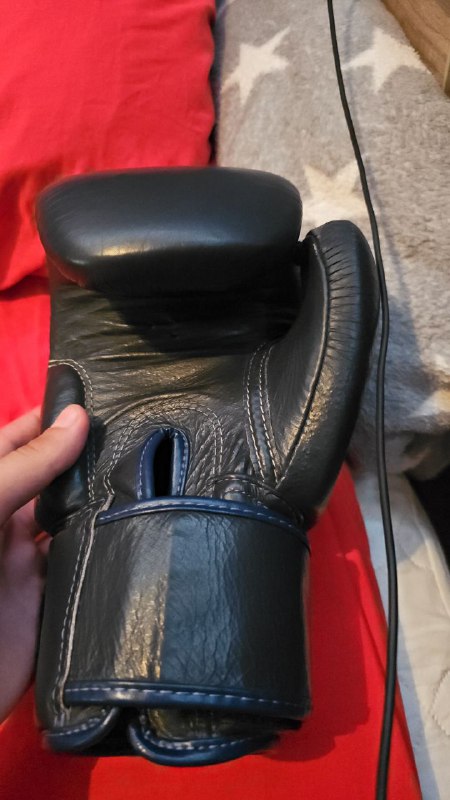 Перчатки боксёрские Fairtex из натуральной кожи 2