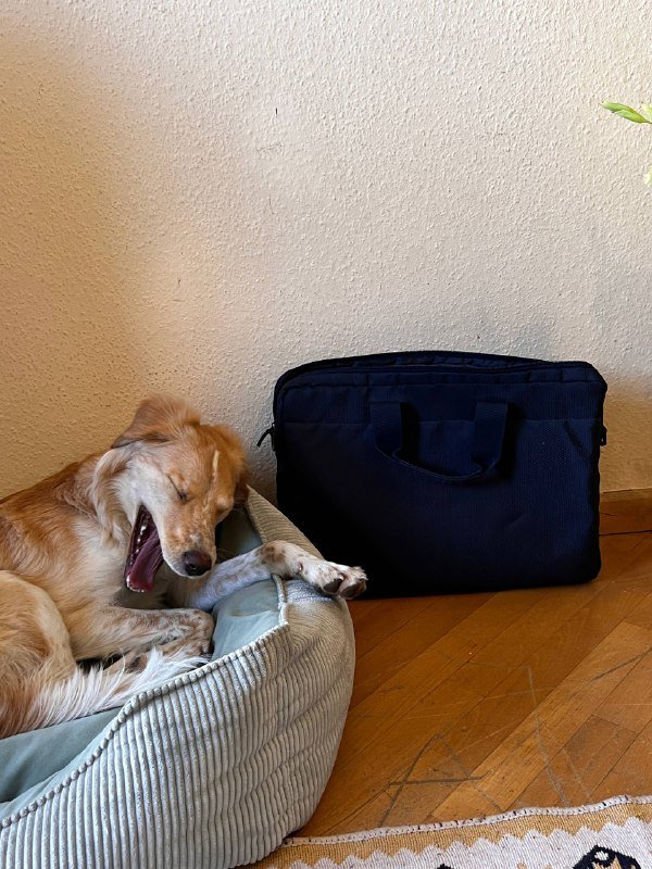 Сумка для ноутбука, коврик для йоги, бандажи, скакалка