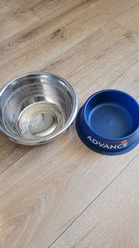 Миски, чеснока, шампунь для собак, пудреница 3