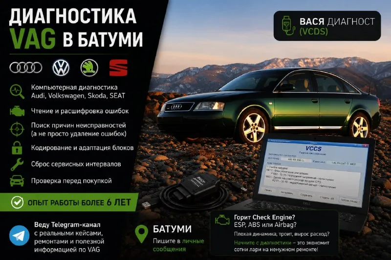 Диагностика VAG в Батуми
