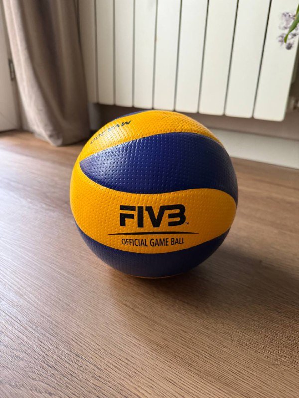 Мяч Mikasa MVA200 оригинал