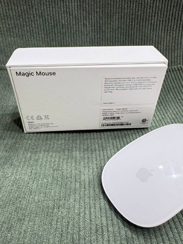 Magic Mouse 2