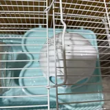 Клетка для хомяка, 40L 5