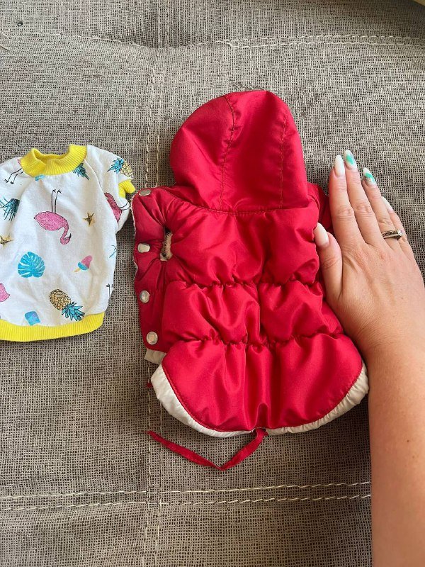 Книги, пазлы, одежда для собак, тальк для глаз собак 8