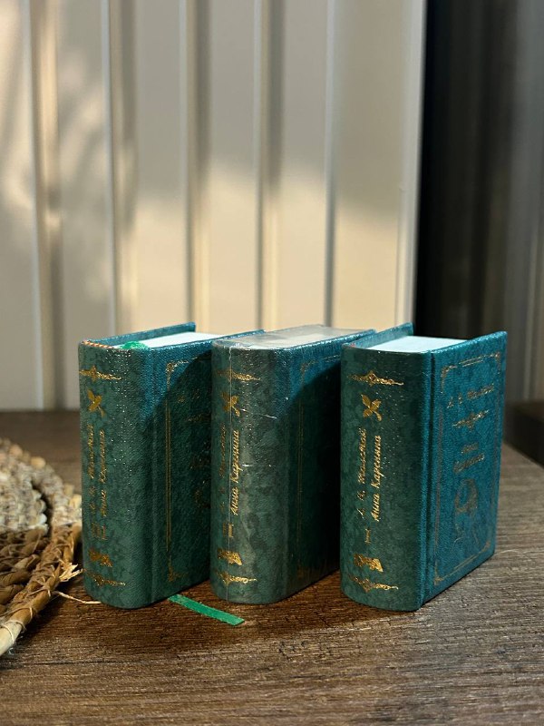 Книга Демон, книга Анна Каренина в миниатюре 3 тома 3