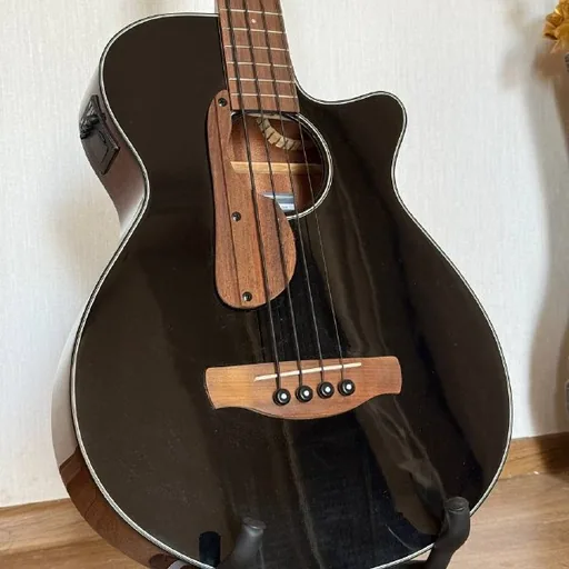Акустическая бас-гитара Ibanez