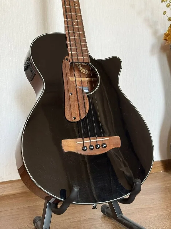 Акустическая бас-гитара Ibanez 1