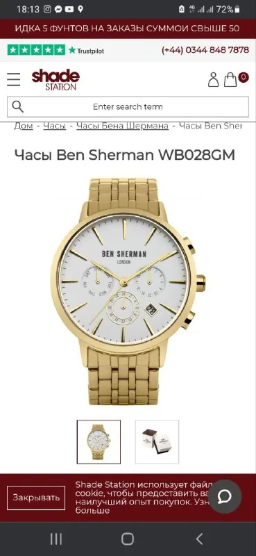 Часы Ben Sherman WB028GM