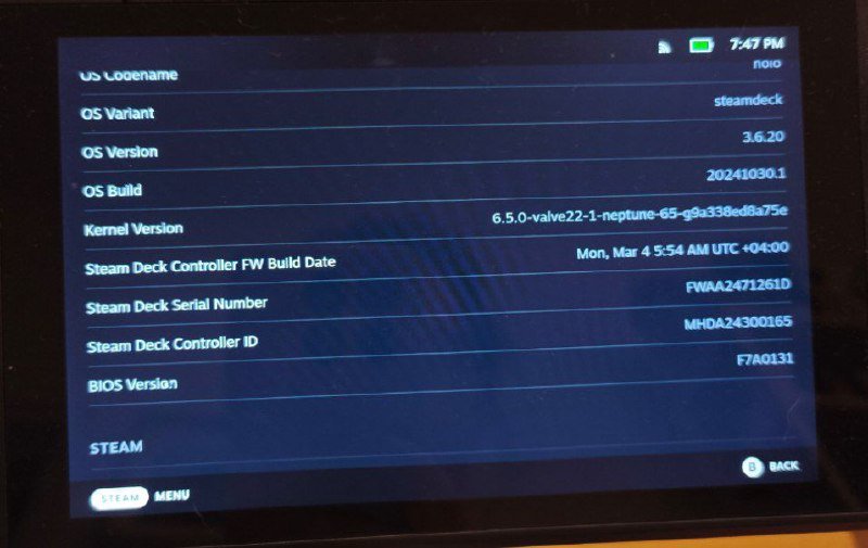 Портативная игровая консоль Steam Deck 256 ГБ 6