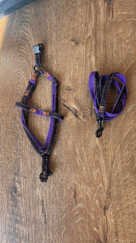 Портфель для переноски с поводком 3